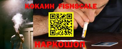 дмт Гатчина