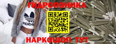 дмт Гатчина
