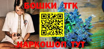 индика Гай