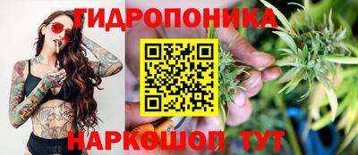 ПСИЛОЦИБИНОВЫЕ ГРИБЫ Гагарин