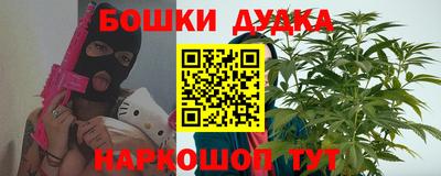индика Гай