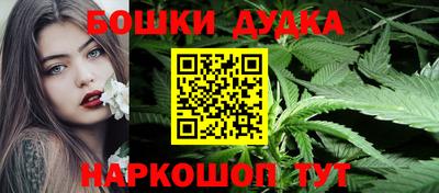 индика Гай