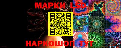 индика Гай