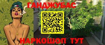 индика Гай