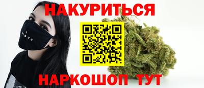 дмт Гатчина