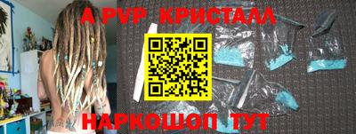 индика Гай
