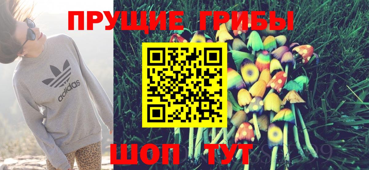 Псилоцибиновые грибы MAGIC MUSHROOMS Гагарин
